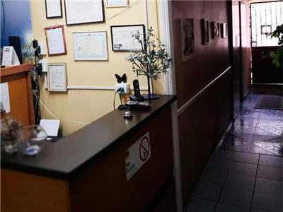 Hotel Mol Concepción Extérieur photo